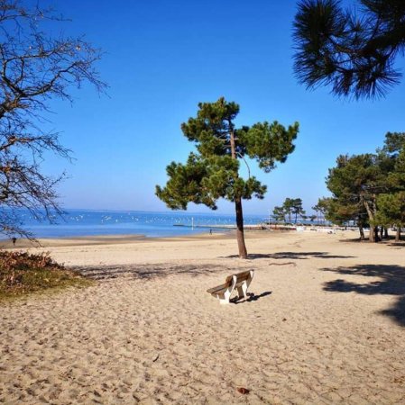 Aire de jeux pour enfants